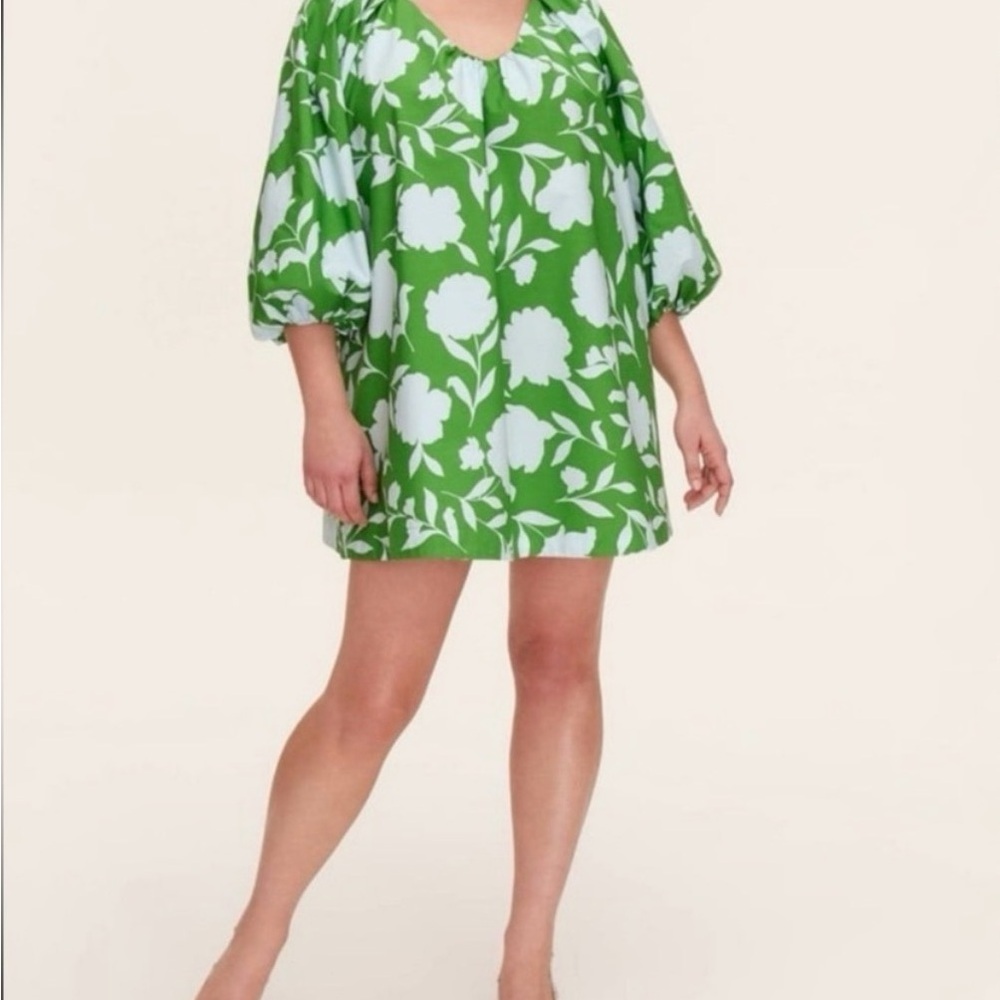 Kate Spade NWT Rose Poplin Long Sleeve Mini Dress  - Medium